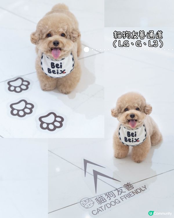 寵物友善商場-THE SOUTHSIDE 🐱🐶