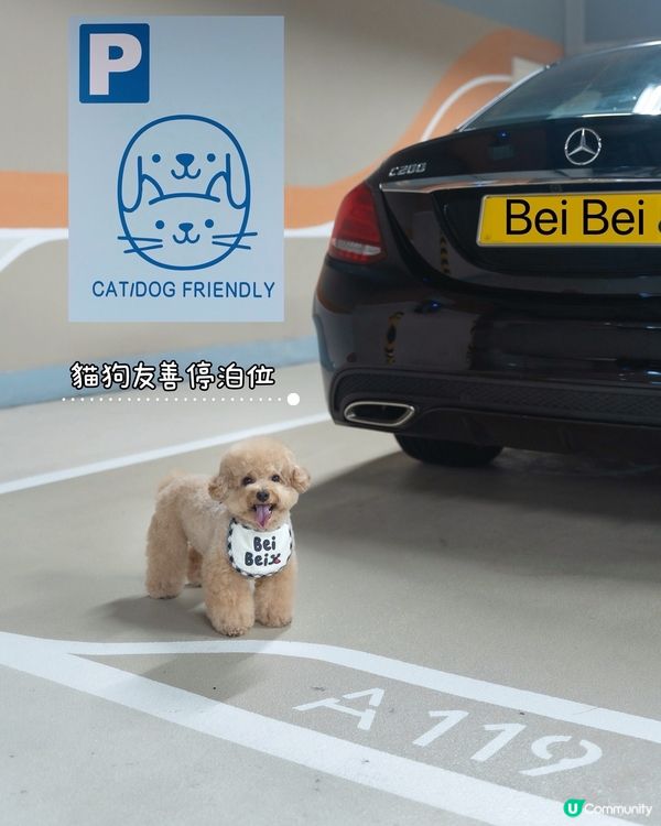 寵物友善商場-THE SOUTHSIDE 🐱🐶