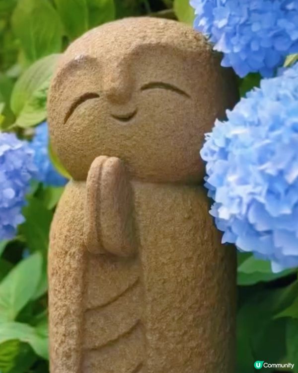 🌸我愛花花之雲昌寺！秋田繡球花之旅🌸！