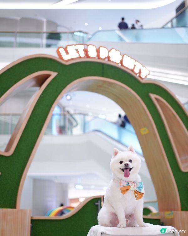 ☀️夏天室內人寵好去處🍉⛱️🕶️