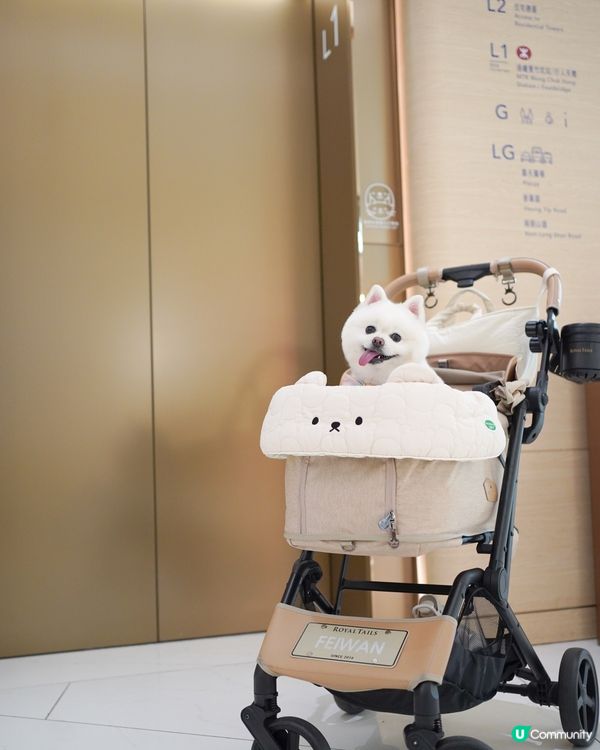 ☀️夏天室內人寵好去處🍉⛱️🕶️
