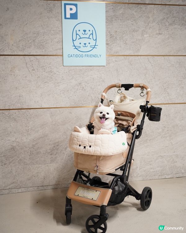 ☀️夏天室內人寵好去處🍉⛱️🕶️