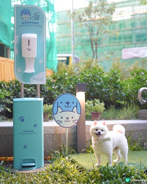 ☀️夏天室內人寵好去處🍉⛱️🕶️