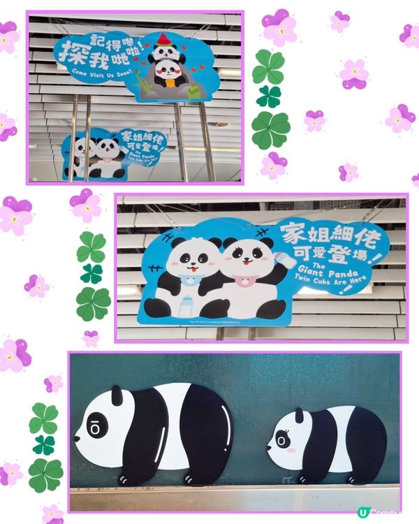 海洋公園港鐵站 🐼🐼🤗😄🩷💜