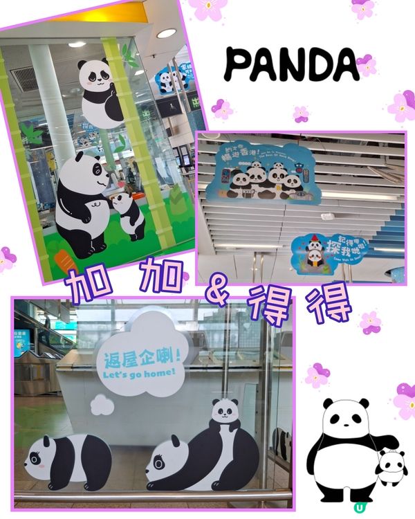 海洋公園港鐵站 🐼🐼🤗😄🩷💜