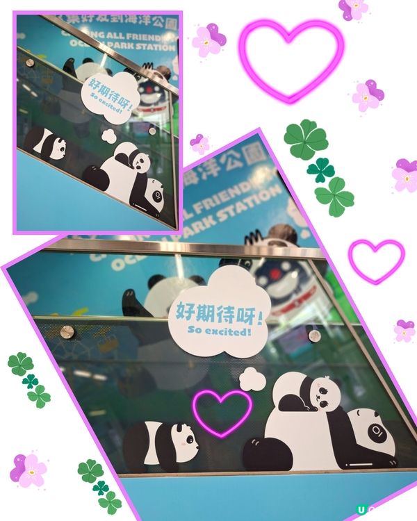 海洋公園港鐵站 🐼🐼🤗😄🩷💜