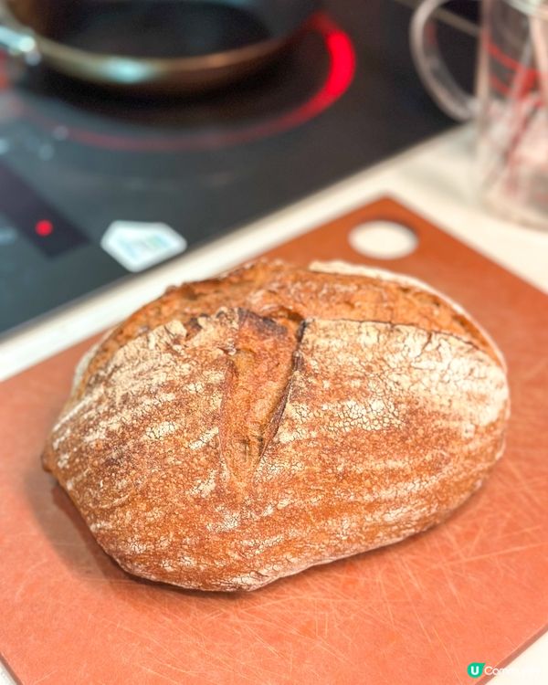 港島區酸種麵包巡禮