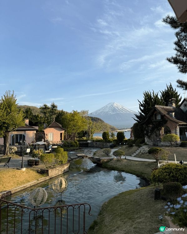 第一張相係我哋影嘅富士山，山頂白雪皚皚，霧氣繚繞，樹枝加埋好...