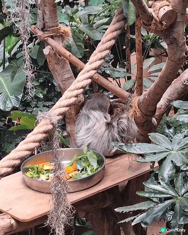 #我想帶走成箱FULKBODY