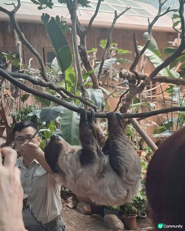 #我想帶走成箱FULKBODY