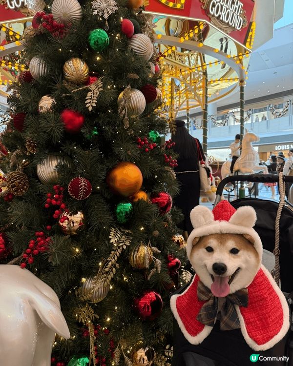 圖中是西九文化區的溫馨場景，一棵裝飾著彩球、漿果、金飾的聖誕...