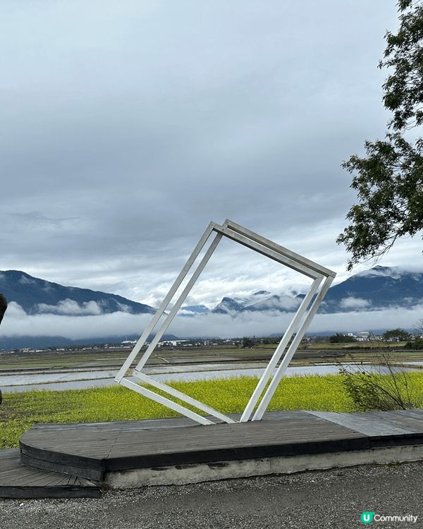 前排同屋企人去咗台東伯朗大道，真係好靚！影相打卡一流，行喺風...