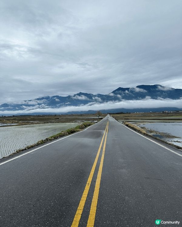 前排同屋企人去咗台東伯朗大道，真係好靚！影相打卡一流，行喺風...