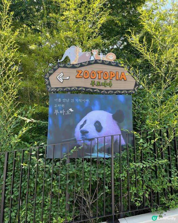 愛寶樂園熊貓世界🐼🐼🐼🐼🐼