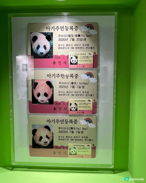 愛寶樂園熊貓世界🐼🐼🐼🐼🐼