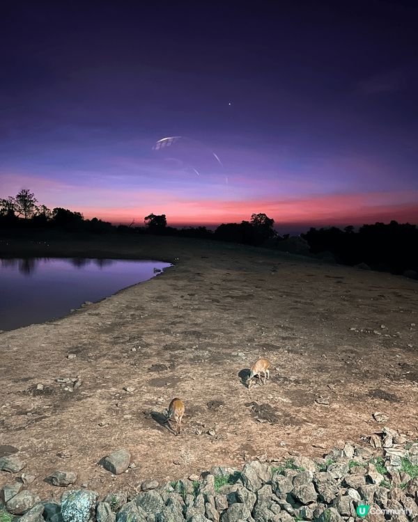 這是位卡非洲的動物公園酒店