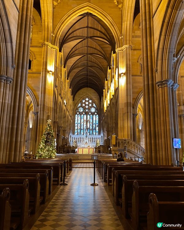 澳洲旅遊，睇到可愛的樹熊，超得意。雪梨的教堂裝修靚及宏偉，值...