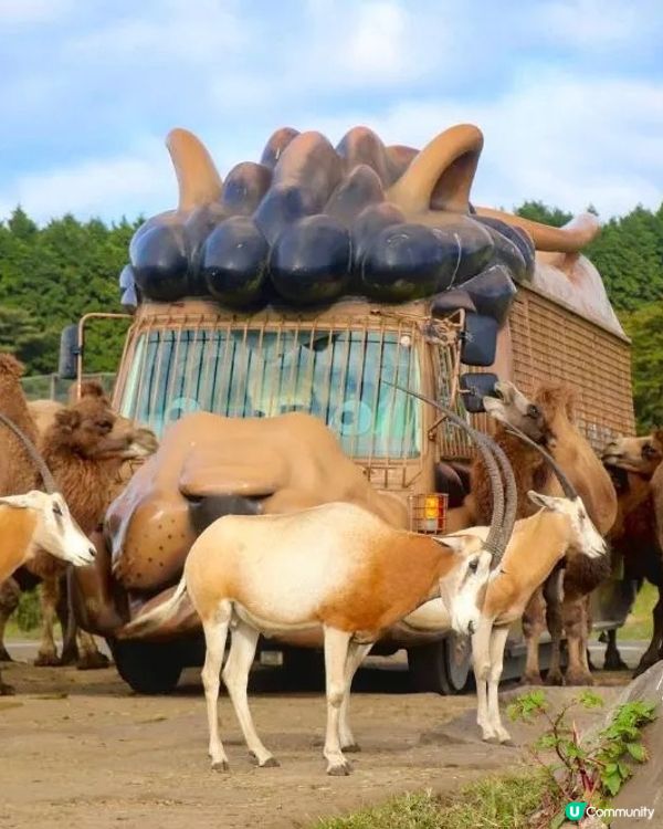 福岡親子遊必去5大點！🤩玩轉九州！