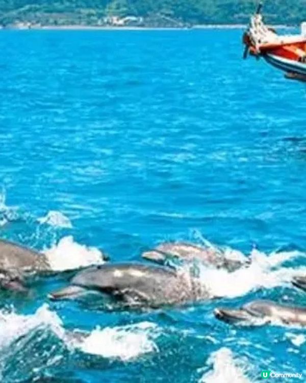 福岡親子遊必去5大點！🤩玩轉九州！