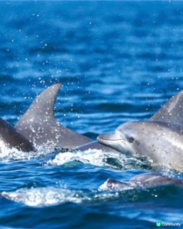 福岡親子遊必去5大點！🤩玩轉九州！