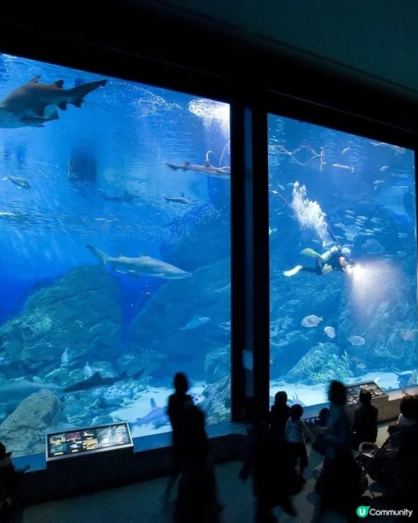 福岡親子遊必去5大點！🤩玩轉九州！