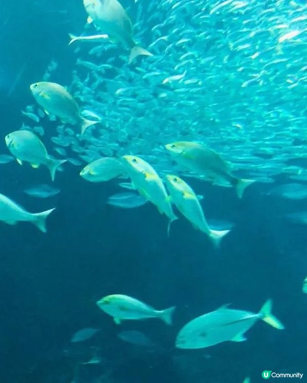 福岡親子遊必去5大點！🤩玩轉九州！