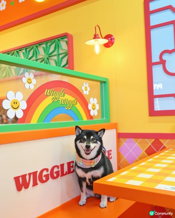 啟德新蒲點！打卡位+寵物用品 🐶📸 開到9月！