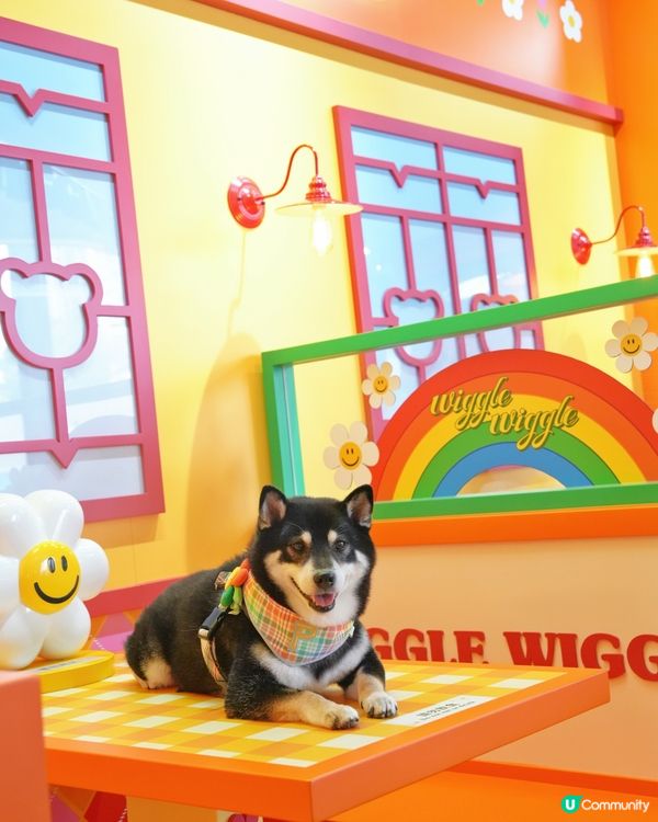 啟德新蒲點！打卡位+寵物用品 🐶📸 開到9月！