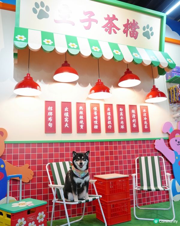 啟德新蒲點！打卡位+寵物用品 🐶📸 開到9月！