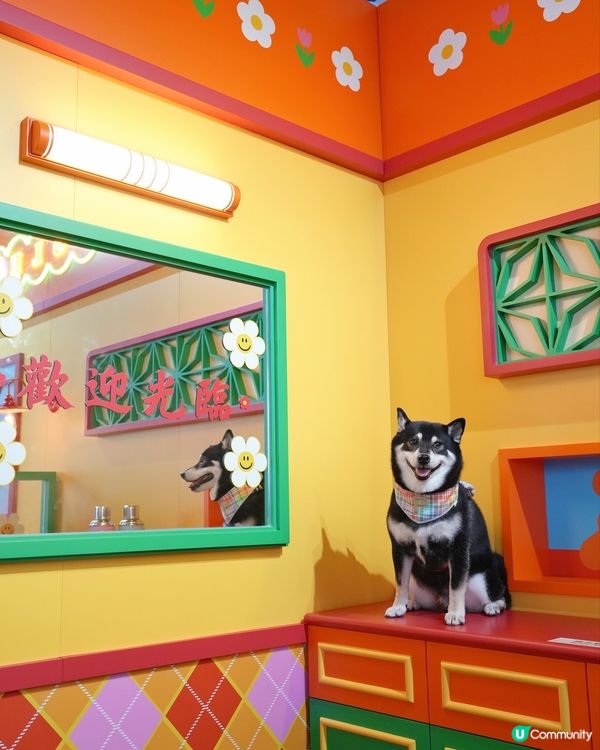 啟德新蒲點！打卡位+寵物用品 🐶📸 開到9月！