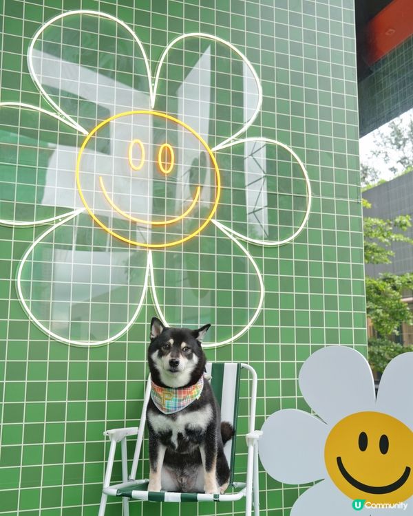 啟德新蒲點！打卡位+寵物用品 🐶📸 開到9月！
