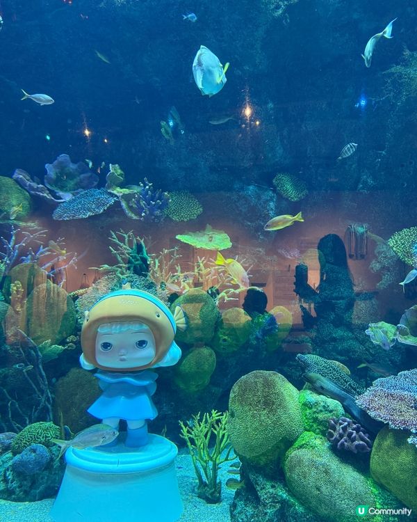 泰國雨季都好玩！曼谷親子室內好去處 🐠🌊