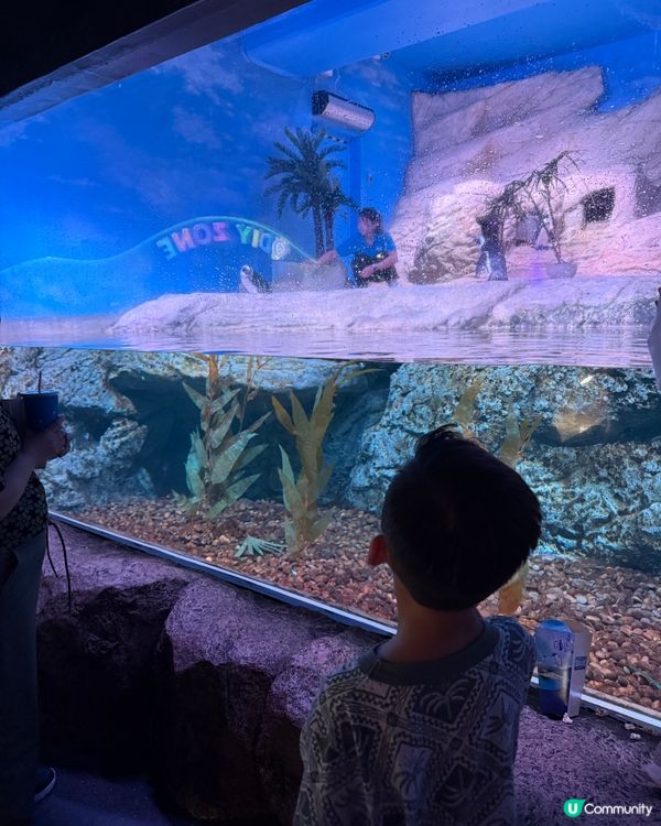 泰國雨季都好玩！曼谷親子室內好去處 🐠🌊