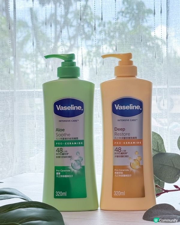 凡士林保濕法寶，夏日肌膚水潤秘訣💧✨