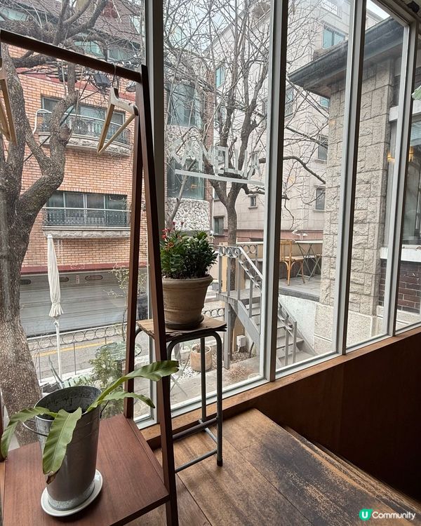 弘大歐風庭院打卡Cafe📸！延南洞Camellia咖啡廳❤️