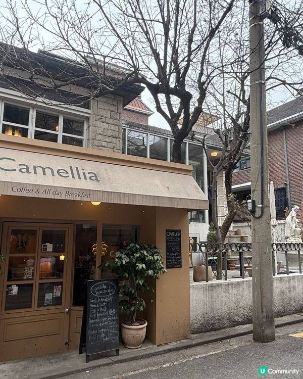 弘大歐風庭院打卡Cafe📸！延南洞Camellia咖啡廳❤️
