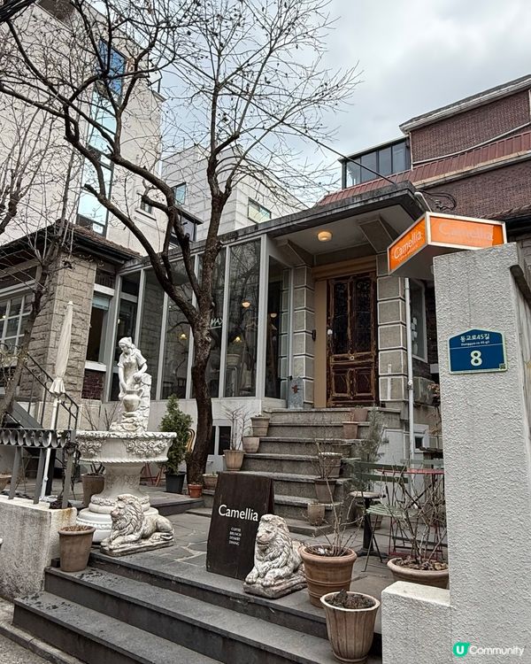 弘大歐風庭院打卡Cafe📸！延南洞Camellia咖啡廳❤️