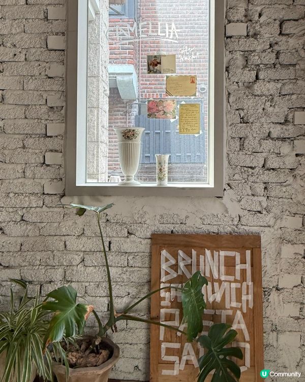 弘大歐風庭院打卡Cafe📸！延南洞Camellia咖啡廳❤️