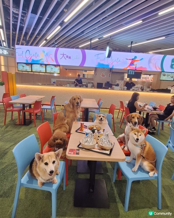 啟德美食新蒲點！寵物友善😋 中日韓甜品超正！