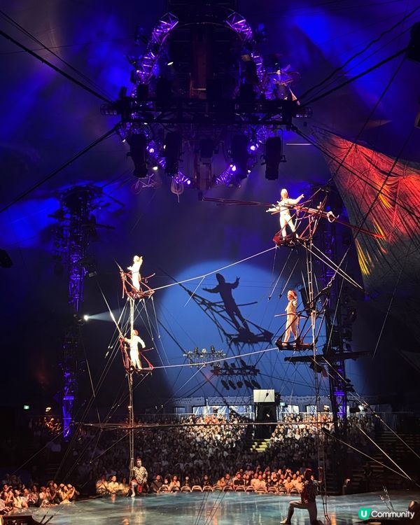 太陽馬戲團倒數1週！🎪暑假親子必睇！🤩