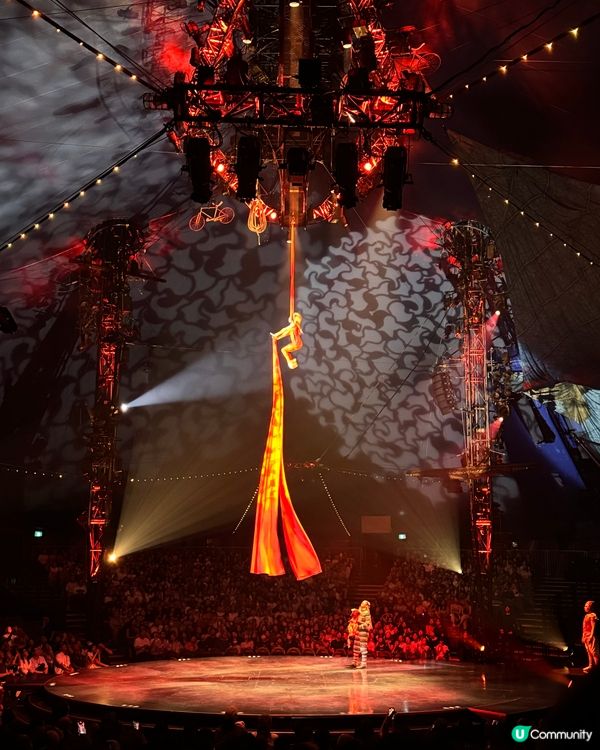 太陽馬戲團倒數1週！🎪暑假親子必睇！🤩