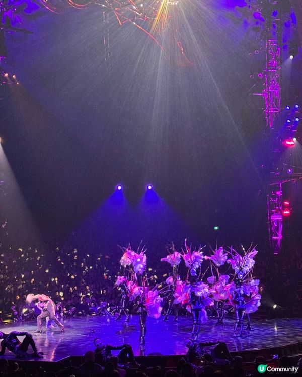 太陽馬戲團倒數1週！🎪暑假親子必睇！🤩