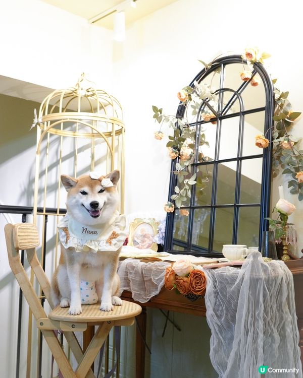 / 帶毛孩影法式寫真 \