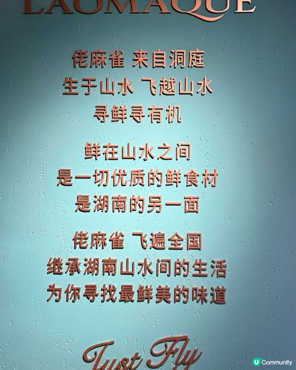 佬麻雀灣仔開張！湖南菜正到爆🤤