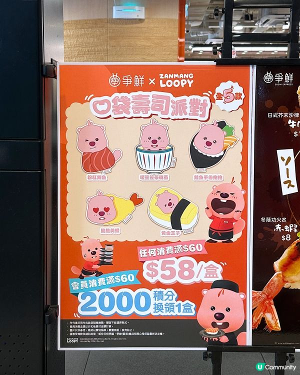 韓國超人氣「粉紅小海狸」Loopy🩷🧸加「萌」爭鮮壽司
