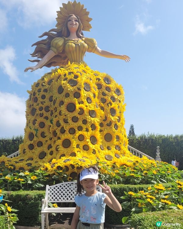 巴拿山🏰 影相打卡一流📸！