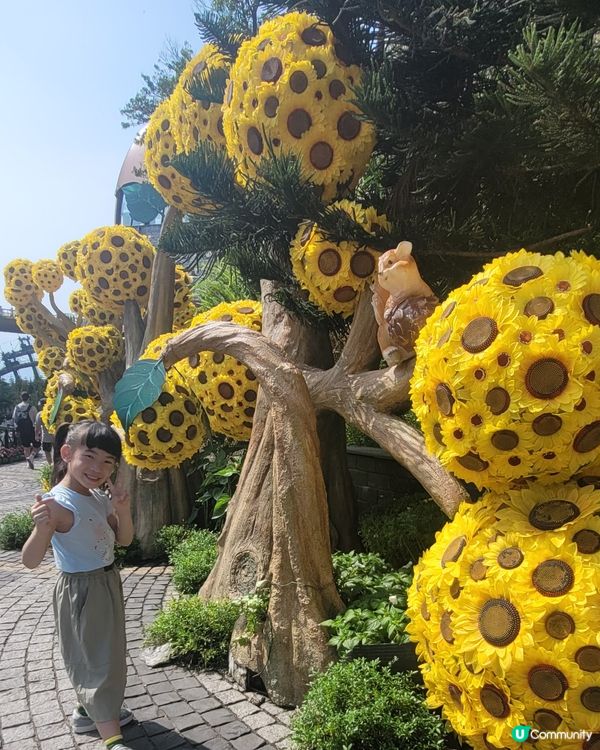 巴拿山🏰 影相打卡一流📸！