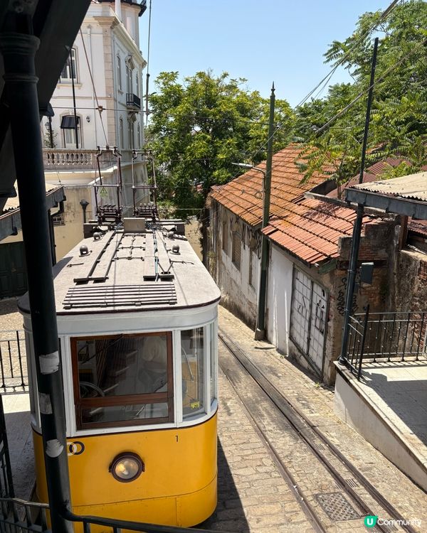 【里斯本電車遊記】28號電車靚到爆！🤩 穿梭老城區超刺激！
