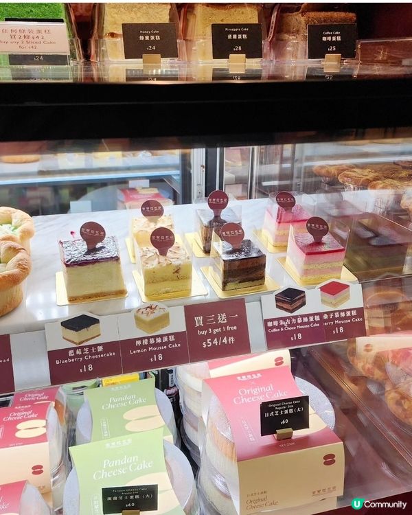 君蘭麵包廠變身！😋 搵食之旅！🍰🍓