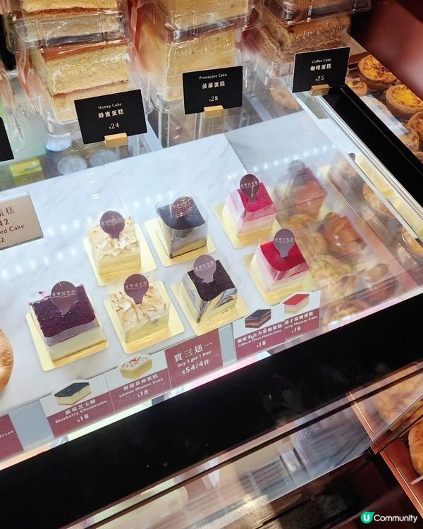 君蘭麵包廠變身！😋 搵食之旅！🍰🍓